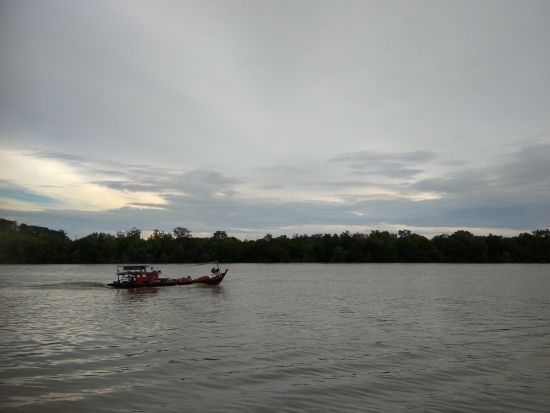 セランゴール川 ホタル観賞ツアー ＜夕食付き／日本語ガイド／クアラルンプール発＞