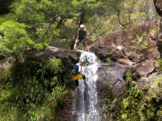 ラッペリング体験　ハナの美しい滝やジャングルの壁をロープで懸垂下降！＜英語ガイド＞