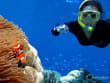 Agincourt-Nemo-clownfish-female-diver