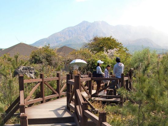 【休止中】桜島火山ガイドウォーク　ガイドと歩く溶岩なぎさ遊歩道 ＆ 解説で聞いた本物に触れることができる体験型火山ツアー！＜鹿児島＞by 桜島ミュージアム