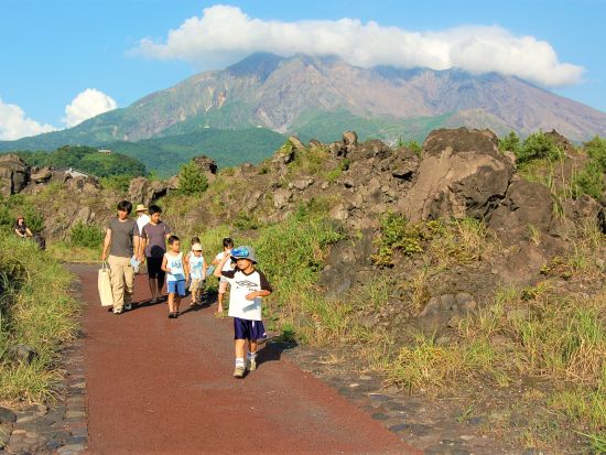 【休止中】桜島火山ガイドウォーク　ガイドと歩く溶岩なぎさ遊歩道 ＆ 解説で聞いた本物に触れることができる体験型火山ツアー！＜鹿児島＞by 桜島ミュージアム