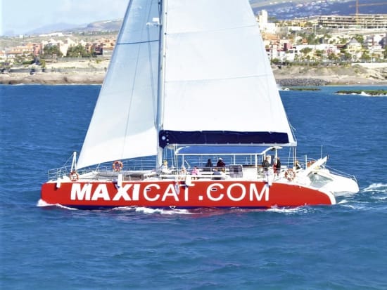 Maxicat catamaran cruise from Tenerife