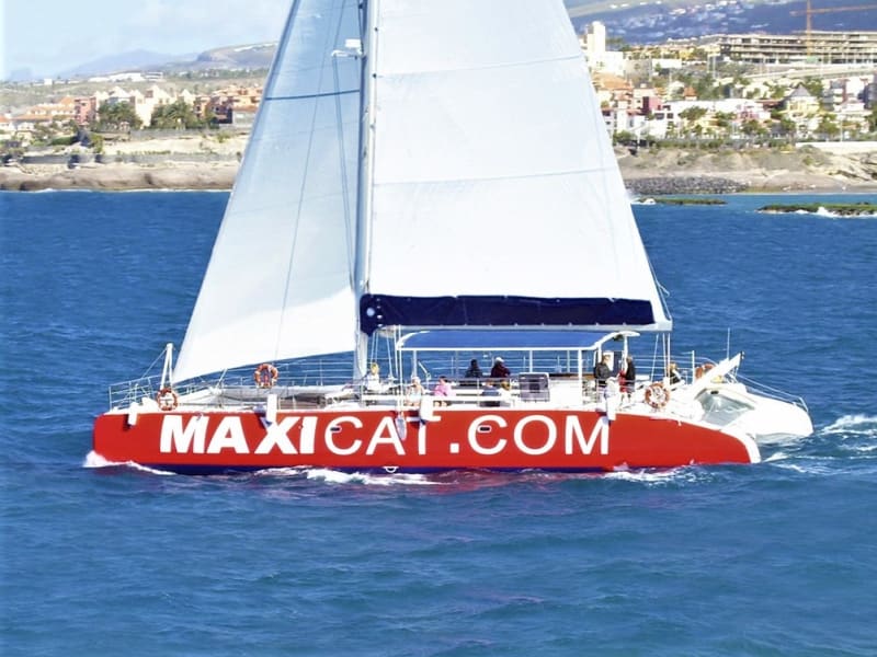 Maxicat catamaran cruise from Tenerife