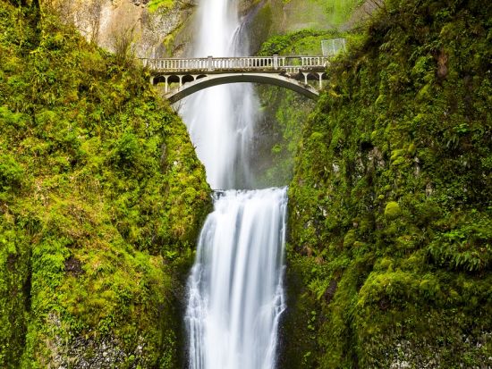 マウントフッド＆コロンビア渓谷ツアー ＜英語ガイド＞
