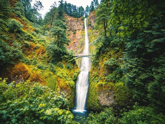 コロンビア渓谷ドライブ＆滝めぐりツアー ＜英語ガイド＞