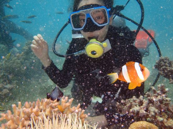 体験ダイビング マクタン島周辺または海洋保護区ヒルトゥガン島へ！＜混載／ボート／1ダイブ＞by エメラルドグリーンダイビングセンター