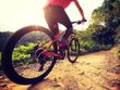 trail bike