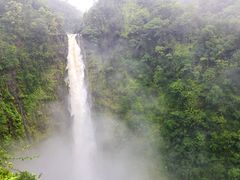 Hawaii_Big_Island_Akaka_Falls_shutterstock_596615777