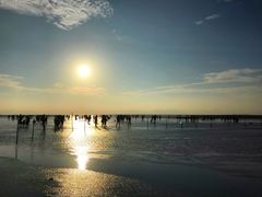 IMG_3385