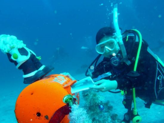 ファンダイビング 伊豆海洋公園 初心者向け・ウミガメ・水中ポストなどコースも様々！＜ビーチ／1～2ダイブ＞by リトルリッツ