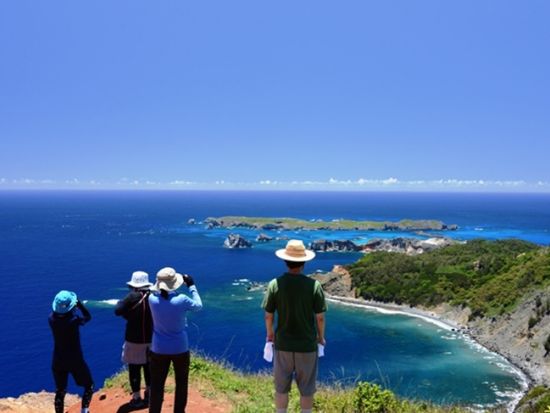 ハートロック（千尋岩）トレッキングツアー　亜熱帯の森やガジュマルの森をベテランガイドがご案内＜1日／送迎付き／小笠原諸島・父島発＞by ボニンブルーシマ