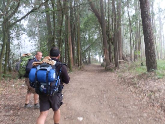 CAMINO DE SANTIAGO 5