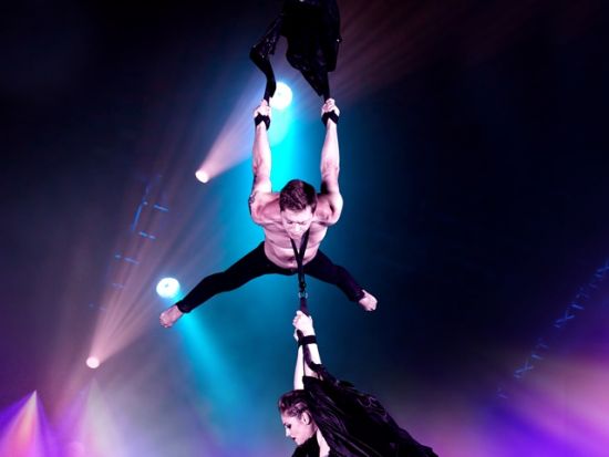 『V 究極のバラエティショー』ショーチケット予約