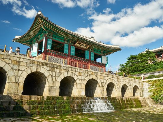 ソウル市内＆郊外1日観光ツアー　韓国の世界遺産巡り！昌徳宮（チャンドックン）＋宗廟＋水原華城＜日本語ガイド／昼食付／ホテルお迎え付＞