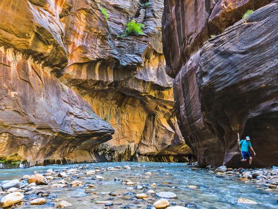 USA_Utah_Zion-National-Park_Narrows_shutterstock_572597245