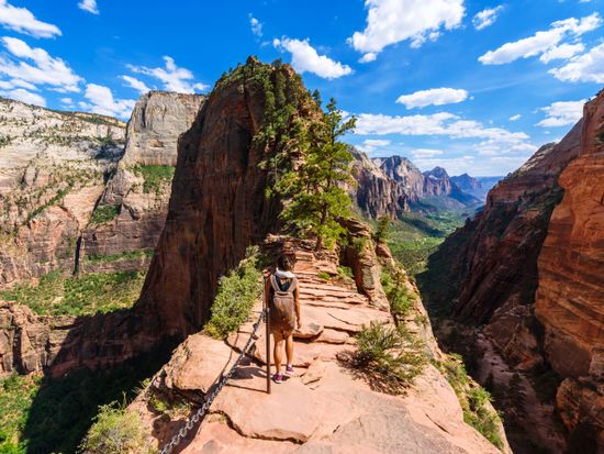 zion national park tour with angels landing hike from moab utah