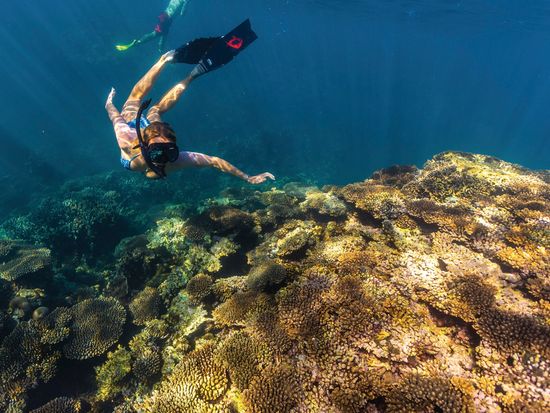 Coral Bay, Ningaloo Reef, Tourism WA, 112729-56