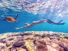 Coral Bay Swimming with Turtles, Ningaloo Reef, Tourism WA 112590-56