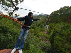 Enjoy a zip line adventure atop pine forests