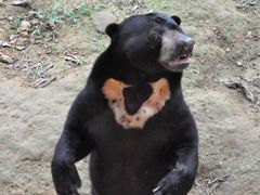 wildlife park-4 (1)