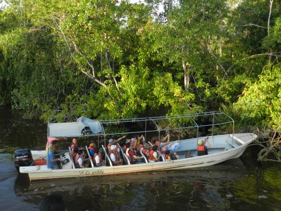 ボルネオ島リバークルーズ　テングザル・ホタル観賞 ＜マレー料理ディナー付き／日本語ガイド／コタキナバル発＞