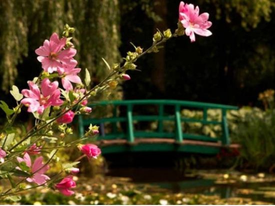 モネの庭園ジヴェルニー　半日観光ツアー ＜4～10月／英語ガイドまたは日本語オーディオガイド／パリ発＞