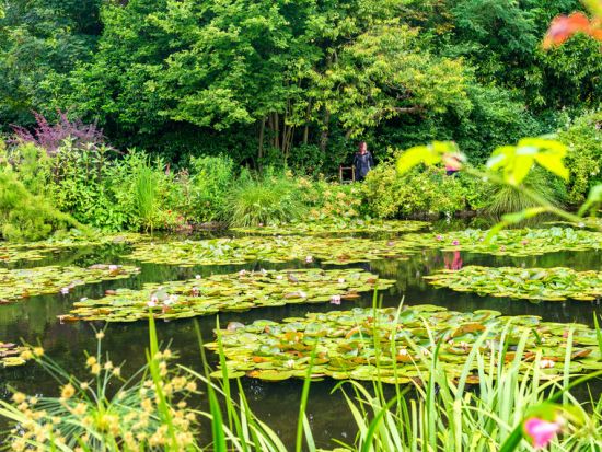 モネの庭園ジヴェルニー　半日観光ツアー ＜4～10月／英語ガイドまたは日本語オーディオガイド／パリ発＞