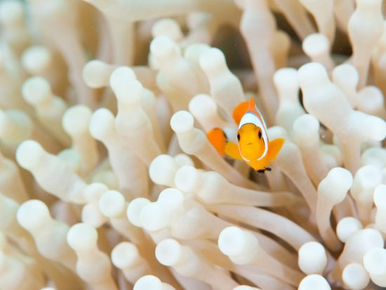 繝薙・繝√ム繧､繝薙Φ繧ｰ (4)