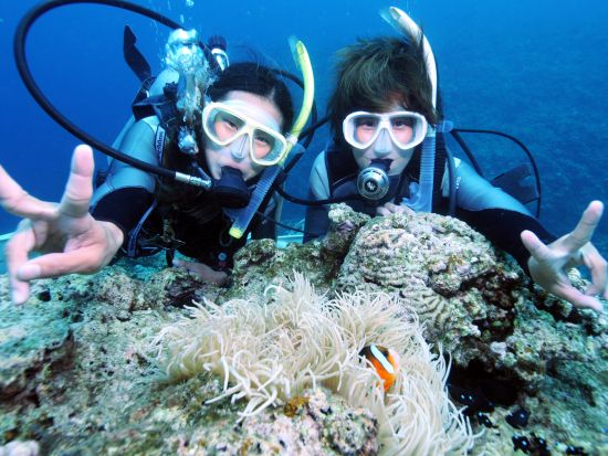 慶良間ファンダイビング　ショップ併設ホテル宿泊で便利！　専用クルーザーはトイレ、シャワー等充実の設備＜2泊3日5ダイブまたは3泊4日8ダイブ／那覇空港無料送迎＞