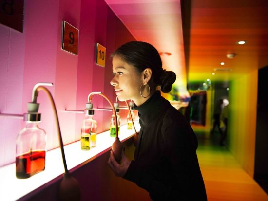 ハウス・オブ・ボルス 見学チケット事前予約 ワークショップ付きプランあり＜英語／カクテル付き／アムステルダム＞