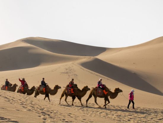 莫高窟＋玉門関＋鳴沙山 1日満喫ツアー＜専用車＋日本語ガイド／敦煌発＞