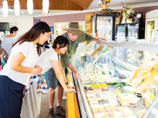 【日本語ガイド貸切】天空の城パロネラパーク＆アサートン高原「聖堂の樹」＆ミラミラの滝などを巡る1日観光ツアー＜1～13名／日本語＞*1台あたり