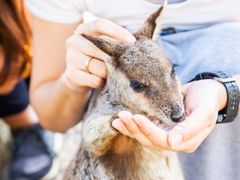 13June2018Small-357_edited