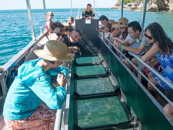 フィッツロイ島 シュノーケリング 世界遺産グレートバリアリーフ ケアンズの観光 オプショナルツアー専門 Veltra ベルトラ フィッツロイ島 シュノーケリング 世界遺産グレートバリアリーフ ケアンズの観光 オプショナルツアー専門 Veltra ベルトラ