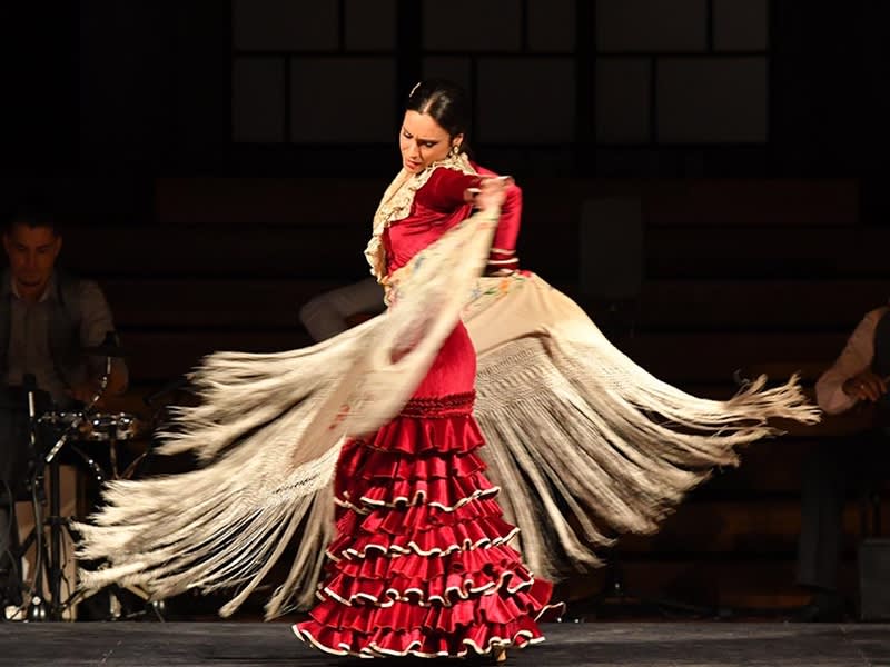 Opera y Flamenco