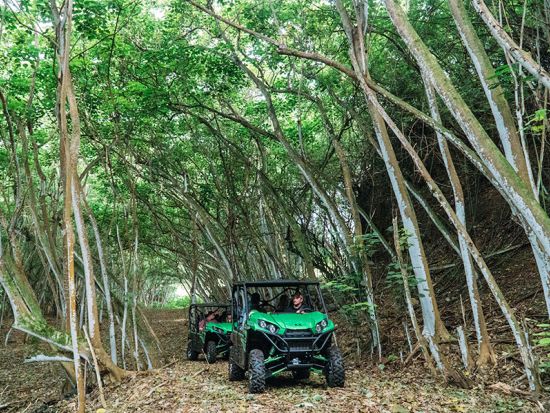 ガンストック牧場　四輪バギーツアー　ノースショアの大自然をガイドが運転する貸切バギーで探検！選べる食事付きプランあり　5歳～OK＜2時間／食事選択可＞