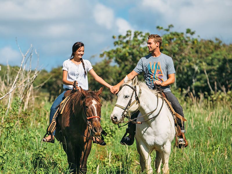 Hawaii_Oahu_Gunstock Ranch_Sweetheart Ride