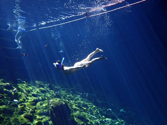 10ca0776-f809-4301-ba77-e2a1c8abf523