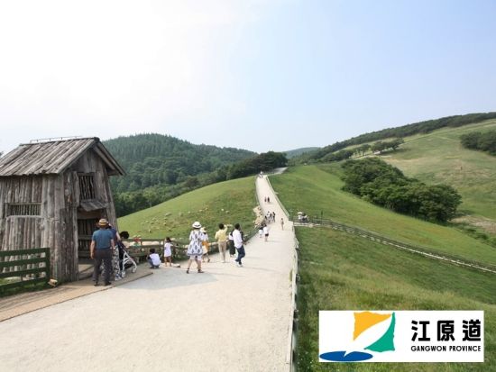 江原・平昌＆江陵観光ツアー 「トッケビ」のロケ地へも！注文津港＋江陵中央市場＋大関嶺羊牧場+月精寺＜1日／日本語ガイド／昼食付き／ソウル発＞