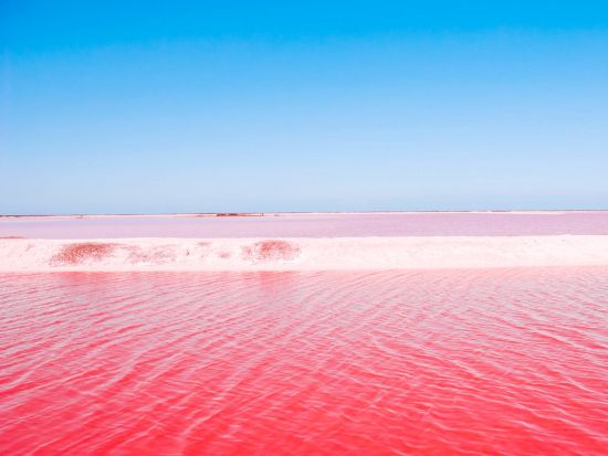 ピンクレイク観光ツアー　ジャングルツアー&天然泥パック体験付きプランあり＜スペイン語ドライバー／送迎あり／カンクン発＞