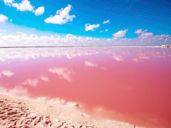 ピンクレイク観光ツアー　ジャングルツアー&天然泥パック体験付きプランあり＜スペイン語ドライバー／送迎あり／カンクン発＞