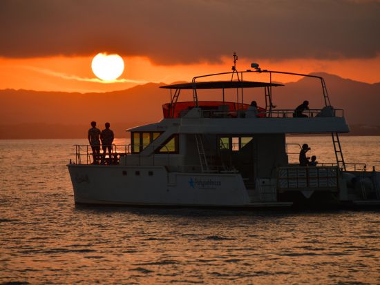 サンセットクルーズ　揺れの少ない大型カタマラン船を使用！黄金色の感動マジックアワー＜0～2歳無料／石垣島＞