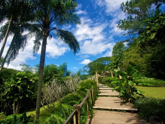 ナンディタウン観光　寺院やマーケットを効率よくめぐる半日ツアー＜貸切／英語／送迎付き＞