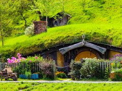 Hobbiton Movie Set Auckland Tour