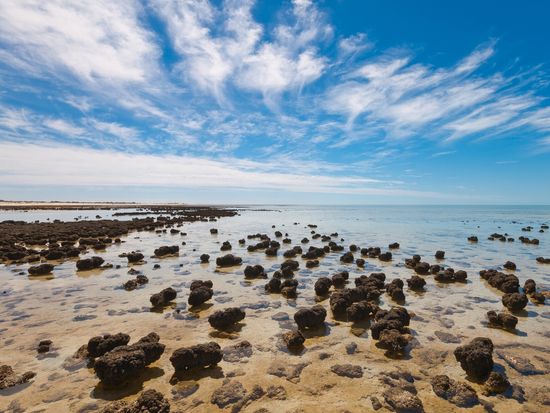 shutterstock_629126720