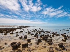 Stromatolites, Western Australia