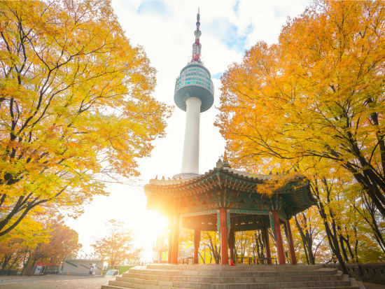 The Best Seoul Autumn Foliage Spots Full Day Customized Tour tours ...