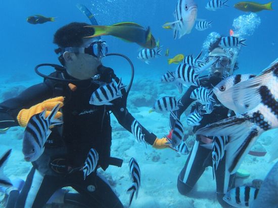 体験ダイビング  お魚ガイドと行くヒルトゥガン島orナルスアン島 水中写真プレゼント付き＜ボート／1ダイブ／GoProオプションあり＞by マリンハウスシーサー
