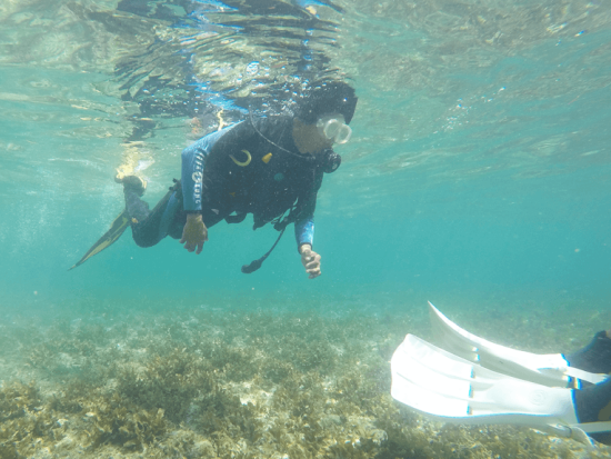 ファンダイビング 初心者＆ブランクダイバー大歓迎 リフレッシュ講習付き＜ボート／2ダイブ＞by マリンハウスシーサー