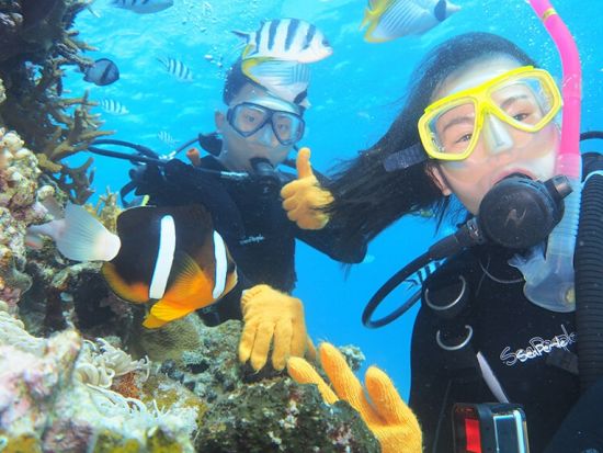 体験ダイビング  お魚ガイドと行くヒルトゥガン島orナルスアン島 水中写真プレゼント付き＜ボート／1ダイブ／GoProオプションあり＞by マリンハウスシーサー